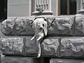 象