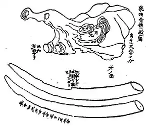 馴象之枯骨(『新編武蔵風土記稿』より)