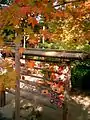 紅葉と絵馬掛(兵庫県湊川神社)