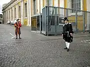 裏門の警備を行うスイス衛兵隊（左）