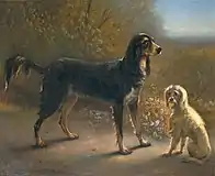 2匹の犬