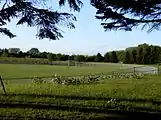 恵庭公園野球場(2013年6月)