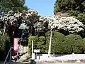 アセビのトンネルを越え大師堂へ