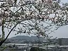 伊勢山