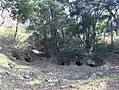 江浦横穴群A地区。（2018年3月撮影）