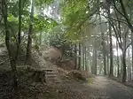 延暦寺の杉