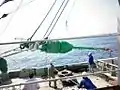 アンダマン海に配備される前の津波ブイ