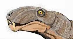 エオティタノスクス Eotitanosuchus
