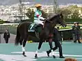 第29回ラジオNIKKEI杯2歳ステークス