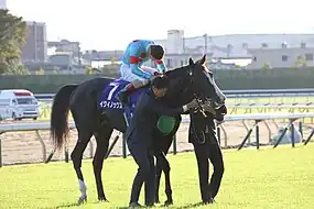 天覧競馬となった天皇賞（秋）優勝後、天皇・皇后の前で騎乗したまま敬礼するルメール