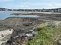干潮時の海岸