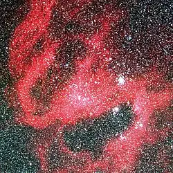 HII領域N119の画像。中央右寄りの一際明るい光源2つのうち、下がかじき座S星。出典: ESO