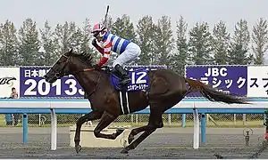 エスポワールシチー（2005年産）
