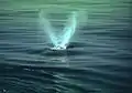 ブロー