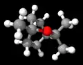分子模型