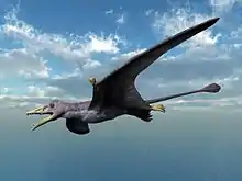 最古の翼竜エウディモルフォドン 翼長90cm