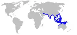 分布域