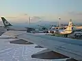 国際線エリア