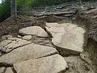 ヴィソチツァ山の層
