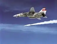 AIM-54を発射するF-14