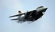 VF-31所属のF-14D（2006年）