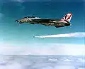 VF-111 Sundowners所属機の塗装