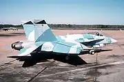 ロシアのSu-27の塗装を模倣した、F/A-18のアグレッサー機