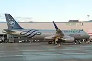 エアバスA320-200（スカイチーム塗装）