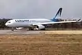 エアバスA330-300型機（現行塗装）