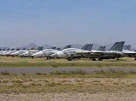 デビスモンサン空軍基地にあるAMARG(英語版)でモスボール保管されているF-14。(2007年10月)