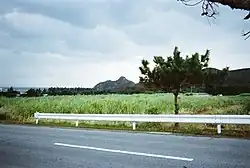 サトウキビ畑ごしに見た伊是名城
