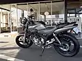 FZX250 ZeaL フロストシルバー（左）