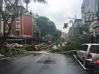 台風通過後の台北市内