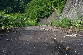 左門岳登山道の落石