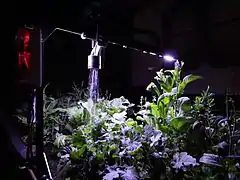 ライト点灯中のファームボット。