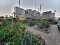 屋上を菜園にした例（アトレ恵比寿）