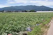 左の写真と同位置・同時刻に西南西を望む