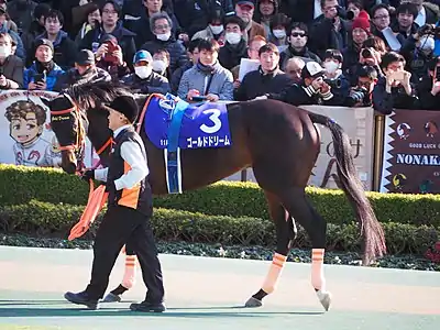 3 ゴールドドリーム