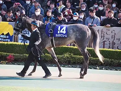 14　オメガパフューム