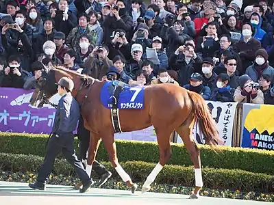 7　サンライズノヴァ