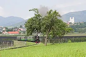 ファイシュトリッツタール鉄道の蒸気機関車列車(2007年撮影)