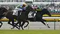 新馬戦