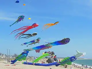 ブルトン海岸で行われた凧祭り