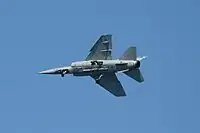 腹部を見せるスペイン空軍のミラージュF1M（偽のキャノピーが描かれている）。ドッグトゥースを境に、内側と外側の前縁フラップの形状が違うことがよくわかる。