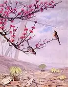 12枚の鳥の版画のシリーズの1枚