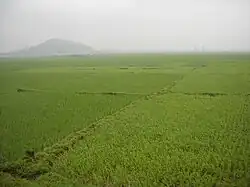 ホンリン市社の田園風景