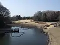 とんぼの池