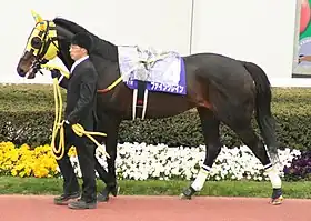 ファイングレイン（2003年産）
