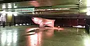 マグダレーナ・アバカノヴィッチの魚の彫刻
