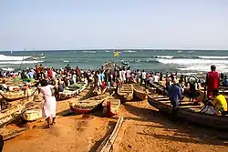 プラムプラムの海岸